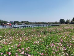 -海珠湖公园