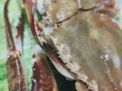 -凤吉园乌拉满族火锅中华老字号(繁荣路店)