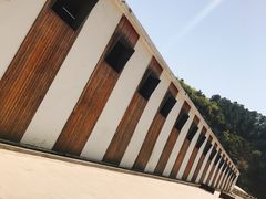 -枫露马术学院(藏书校区)