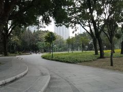 -广州珠江公园