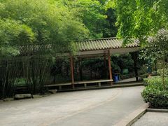 -龙头寺公园