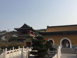 -明星刺青·洗纹身