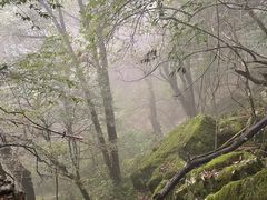 -萍乡武功山风景名胜区