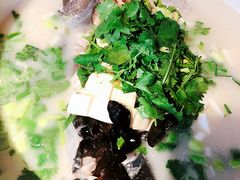 -姜君·千岛湖鱼头馆(浦东大道店)