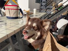 -小意思咖啡店(草桥店)