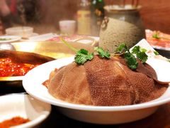 -潮火锅·麻辣牛肉火锅(观音桥方圆·LIVE店)