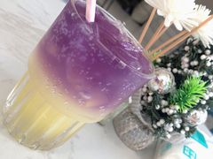 -Husky Go!哈士奇体验馆·宠物咖啡厅狗咖