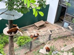 -大连森林动物园