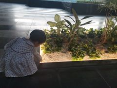 -铭轩中餐厅·海南菜·粤菜(亚龙湾瑞吉店)
