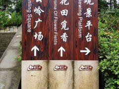 -铁山坪森林公园