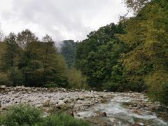 -黑河国家森林公园