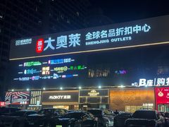 -盛京大奥莱(沈阳奥体店)