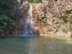 -南海湾森林生态园