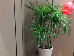 -宴昆山·私房菜(春晖店)