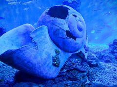-多彩贵州城极地海洋世界