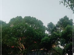 -鼓楼(西湖风景名胜区)