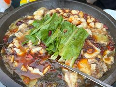 黑鱼-都江堰石锅鱼