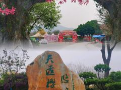 -天适樱花悠乐园