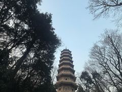 -灵谷景区