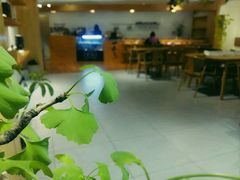 -柴务处·柴犬主题狗咖