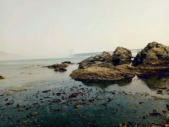 -黑石礁公园