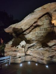 -翱翔飞越地平线