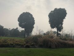 -映月湖中央公园