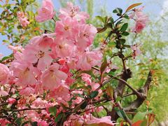 -白塘生态植物园