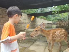 -南京汤山紫清湖生态旅游温泉度假区