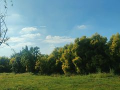 -白鹭湾湿地公园