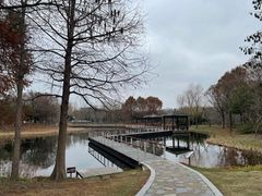 -同里国家湿地公园