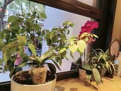 -鑫花溪牛肉米粉(凤凰街创始总店)
