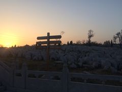 -原山国家森林公园