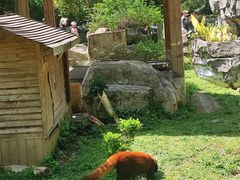 -黔灵山公园