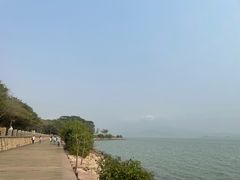 -深圳湾公园(南山区)
