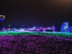 -八大山人梅湖景区