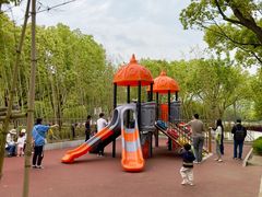 -新江湾城公园