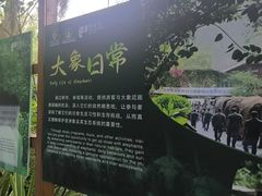 -野象谷景区