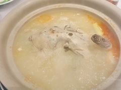 酸萝卜老鸭锅-gleeglee乐溢亦茶(合生汇店)