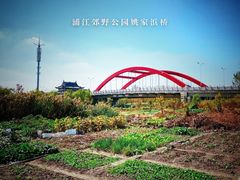 -上海浦江郊野公园-4号停车场