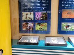 -上海昆虫博物馆