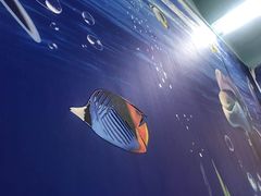 -范饭椰林川湘味海鲜·椰子鸡(三亚湾椰梦长廊店)