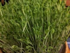 -廣順興(天明路店)