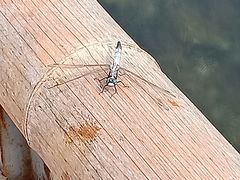-十渡高山漂流