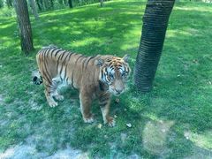 -北京野生动物园