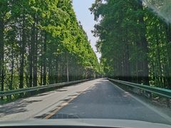 -上海海湾国家森林公园