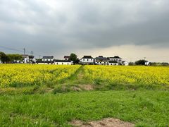-莲花岛景区