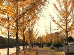-浙江农林大学(东湖校区)