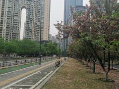 -西北湖绿化广场
