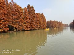 -上海海湾国家森林公园